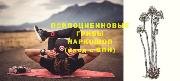 спиды Аркадак