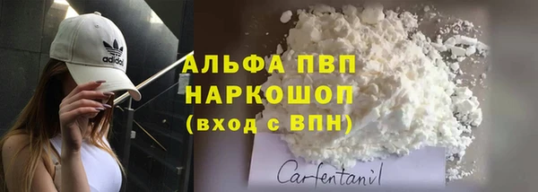 стафф Алексин