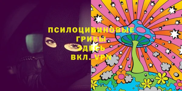 спиды Аркадак
