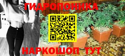 ГАЛЛЮЦИНОГЕННЫЕ ГРИБЫ Изобильный